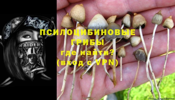марихуана Абаза