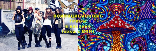 прущая мука Осинники